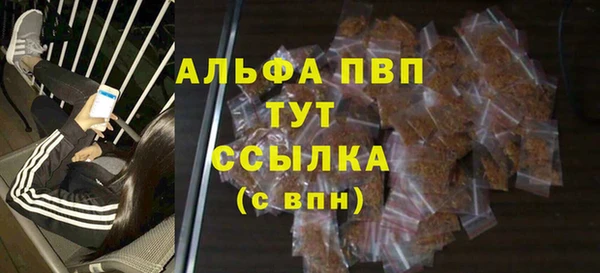 сатива Арсеньев